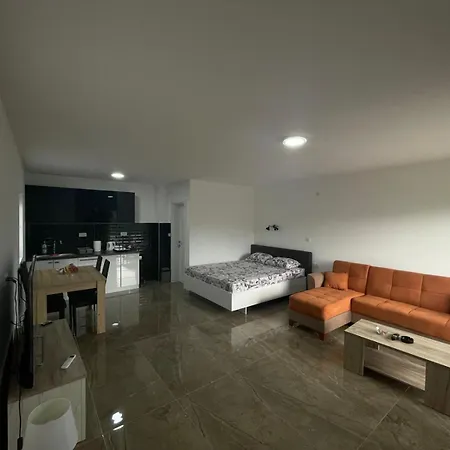 Apartment Dimitrijevic *